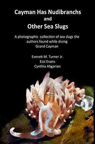 Cayman Has Nudibranchs and Other Sea Slugs: A photographic collection of sea slugs the authors found while diving Grand Cayman