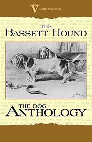 The Basset Hound A Dog Anthology (A Vintage Dog Breed Classic)