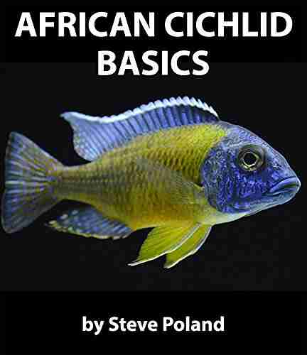 African Cichlid Basics ALLAN FORD