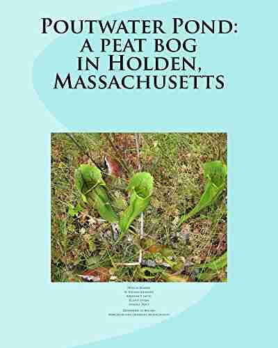 Poutwater Pond: a peat bog in Holden Massachusetts