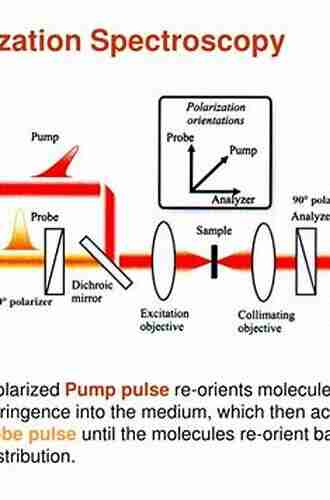 Polarized Light in Optics and Spectroscopy