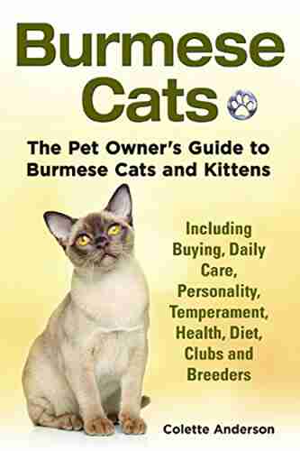 Burmese Cats: The Pet Owner S Guide To Burmese Cats And Kittens Including Buying Daily Care Personality Temperament Health Diet Clubs And Breeders