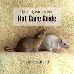 The Rattycorner Com Rat Care Guide