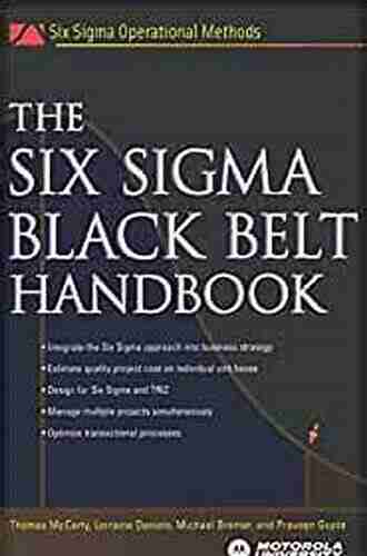 The Six Sigma Black Belt Handbook (Six SIGMA Operational Methods)