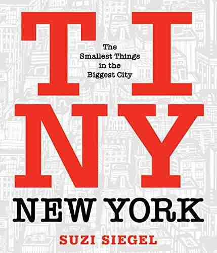 Tiny New York: The Smallest Things In The Biggest City