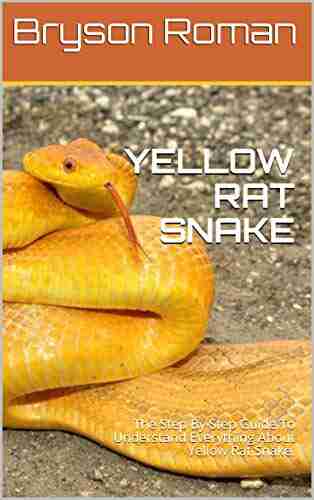 YELLOW RAT SNAKE: The Step By Step Guide To Understand Everything About Yellow Rat Snake