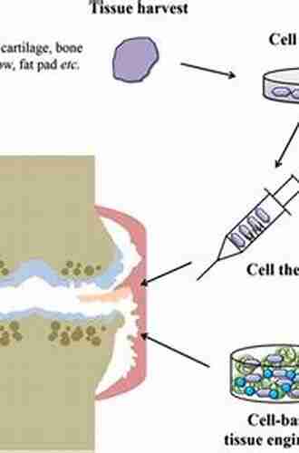 Organoselenium Compounds In Biology And Medicine: Synthesis Biological And Therapeutic Treatments