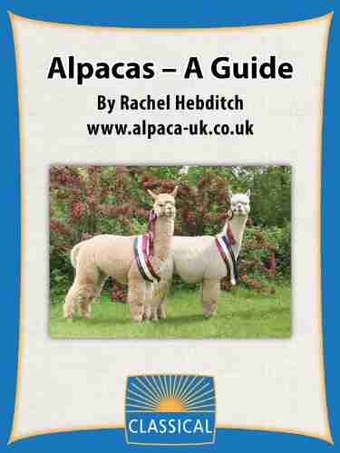 Alpacas A Guide By Rachel Hebditch