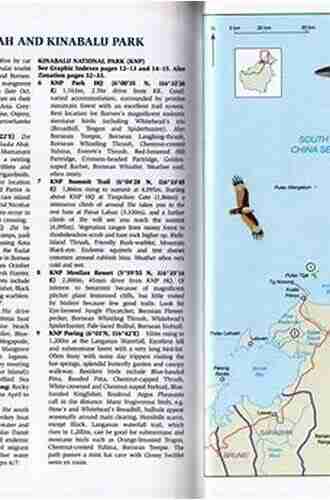 Finding Australian Birds: A Field Guide To Birding Locations