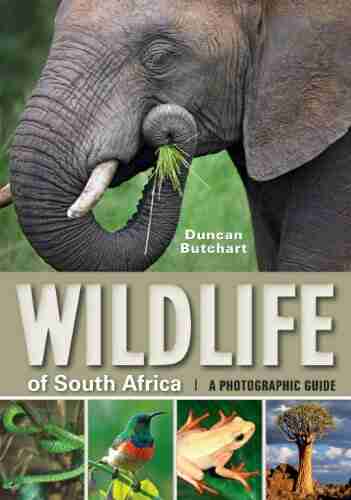 Wildlife Of South Africa: A Photographic Guide