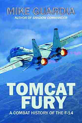 Tomcat Fury: A Combat History Of The F 14