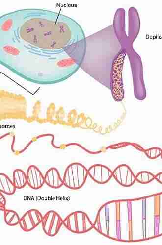 Plant Cytogenetics: Genome Structure And Chromosome Function (Plant Genetics And Genomics: Crops And Models 4)