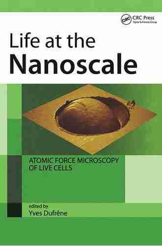 Life at the Nanoscale: Atomic Force Microscopy of Live Cells