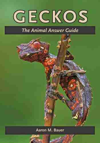 Geckos: The Animal Answer Guide (The Animal Answer Guides: Q A For The Curious Naturalist)