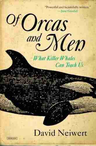 Of Orcas And Men: What Killer Whales Can Teach Us