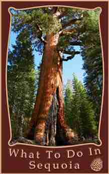 What To Do In Sequoia and Kings Canyon