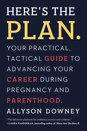 Here S The Plan : Your Practical Tactical Guide To Advancing Your Career During Pregnancy And Parenthood